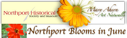 2009-06-09-banner