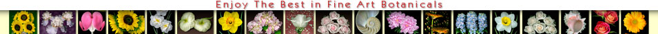 Enjoy the Best in Fine Art Botanical Paintings