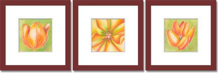 Orange Tulip Series of Mixed Media Art