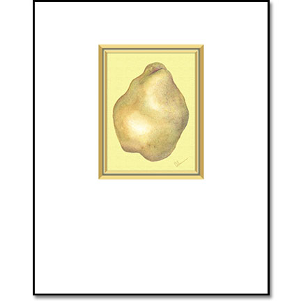 Bartlett Pear - Designer Prints - Mary Ahern Artist