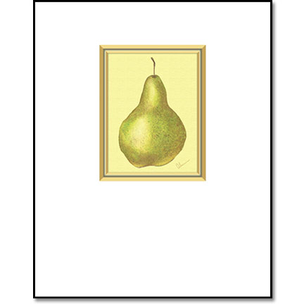 Green Bosc Pear - Designer Prints - Mary Ahern Artist