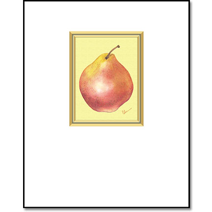 Red Comice Pear - Designer Prints - Mary Ahern Artist
