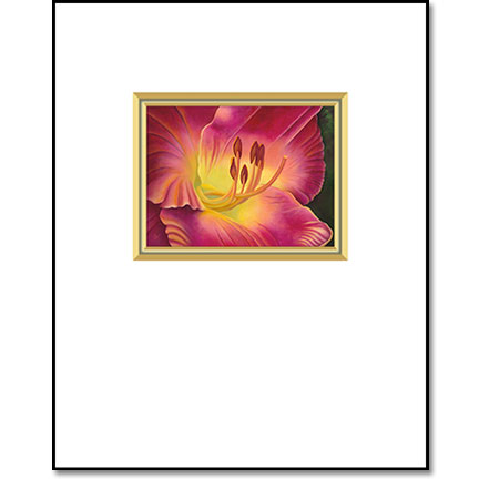 Petersen's Daylily  - Designer Prints - Mary Ahern Artist