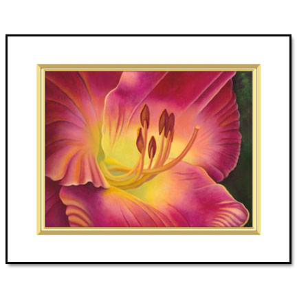 Petersen's Daylily  - Designer Prints - Mary Ahern Artist