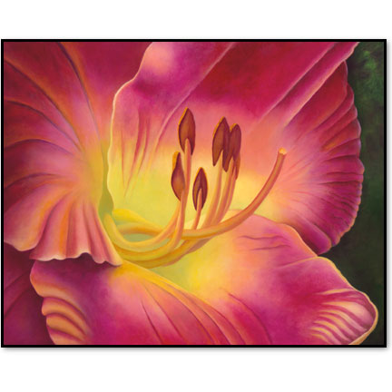 Petersen's Daylily  - Designer Prints - Mary Ahern Artist