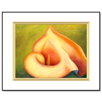 Mapplethorpe's lily  - Designer Prints - Mary Ahern Artist
