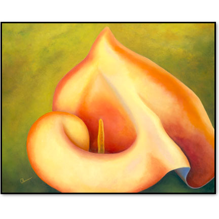 Mapplethorpe's lily  - Designer Prints - Mary Ahern Artist