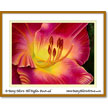 Reproductions of Traditional Paintings originally created by the Artist, Mary Ahern in oils, watercolor & mixed media.