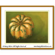 Yellow Squash
