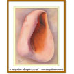 Seashell #1