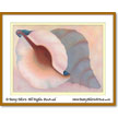 Seashell #2