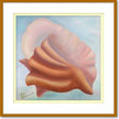 Seashell #3