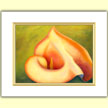 Mapplethorpe's lily  - Designer Prints - Mary Ahern Artist