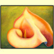 Mapplethorpe's lily  - Designer Prints - Mary Ahern Artist