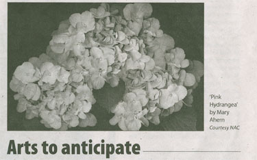 The Times of Northport &  The Northport Observer  Arts to Anticipate