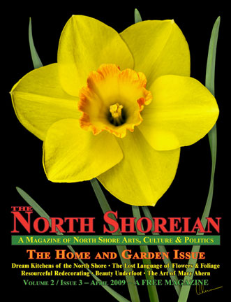 The North Shoreian cover art by Mary Ahern