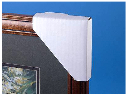 Frame Protectors