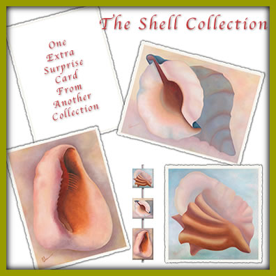 The Shell Collection of Frameable Note Cards