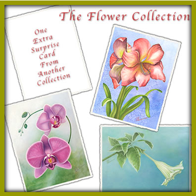 Frameable Note Cards