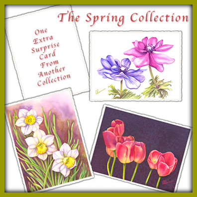 Frameable Botanical N
					  Thote Cards