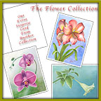 The Frameable Note Cards - Flower Collection