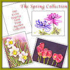 The Frameable Note Cards - Spring Collection