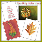 Framable Note Cards - Earthly Selections