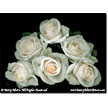 White Rose Pyramid