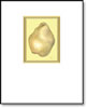 Bartlett Pear