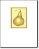 Brown Bosc Pear