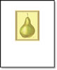 Green Bosc Pear