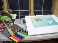 Studio Glimpses