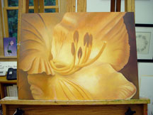 Hemerocallis Daylily