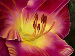 Petersen's Daylily