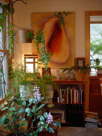 Seashell oil painting by Mary Ahern