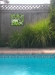 Passion Flowers with Bamboo by the Pool