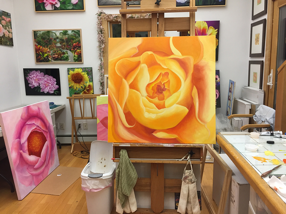 Mary Ahern's studio February 2018