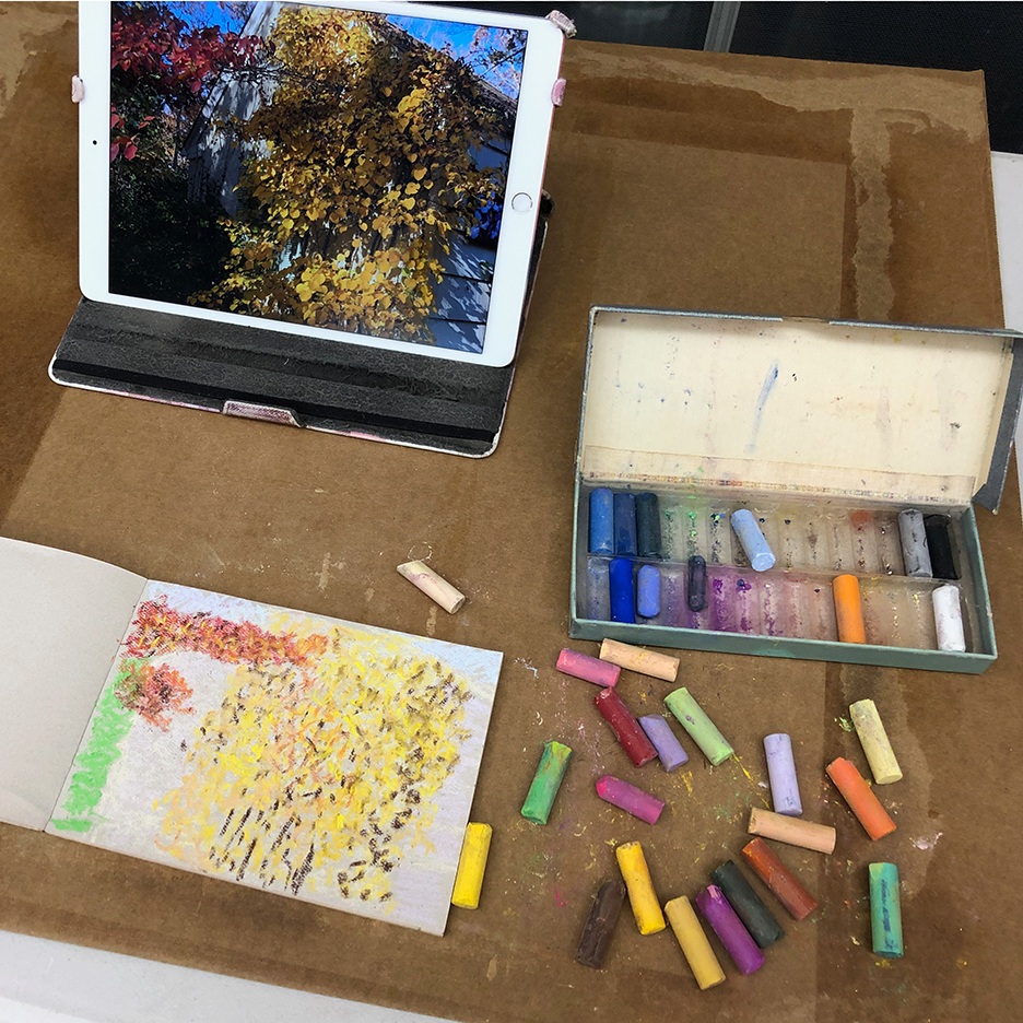 Abstract Autumn in My Garden