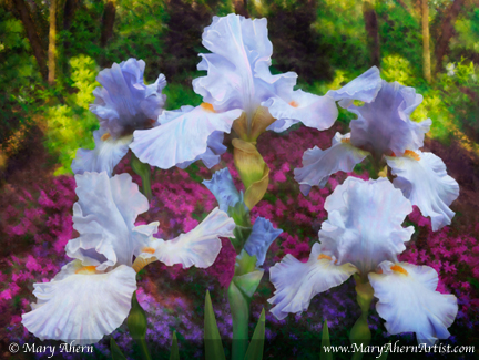 Mary Ahern Artist - Mixed Media Painting - Light Blue Iris in the Garden