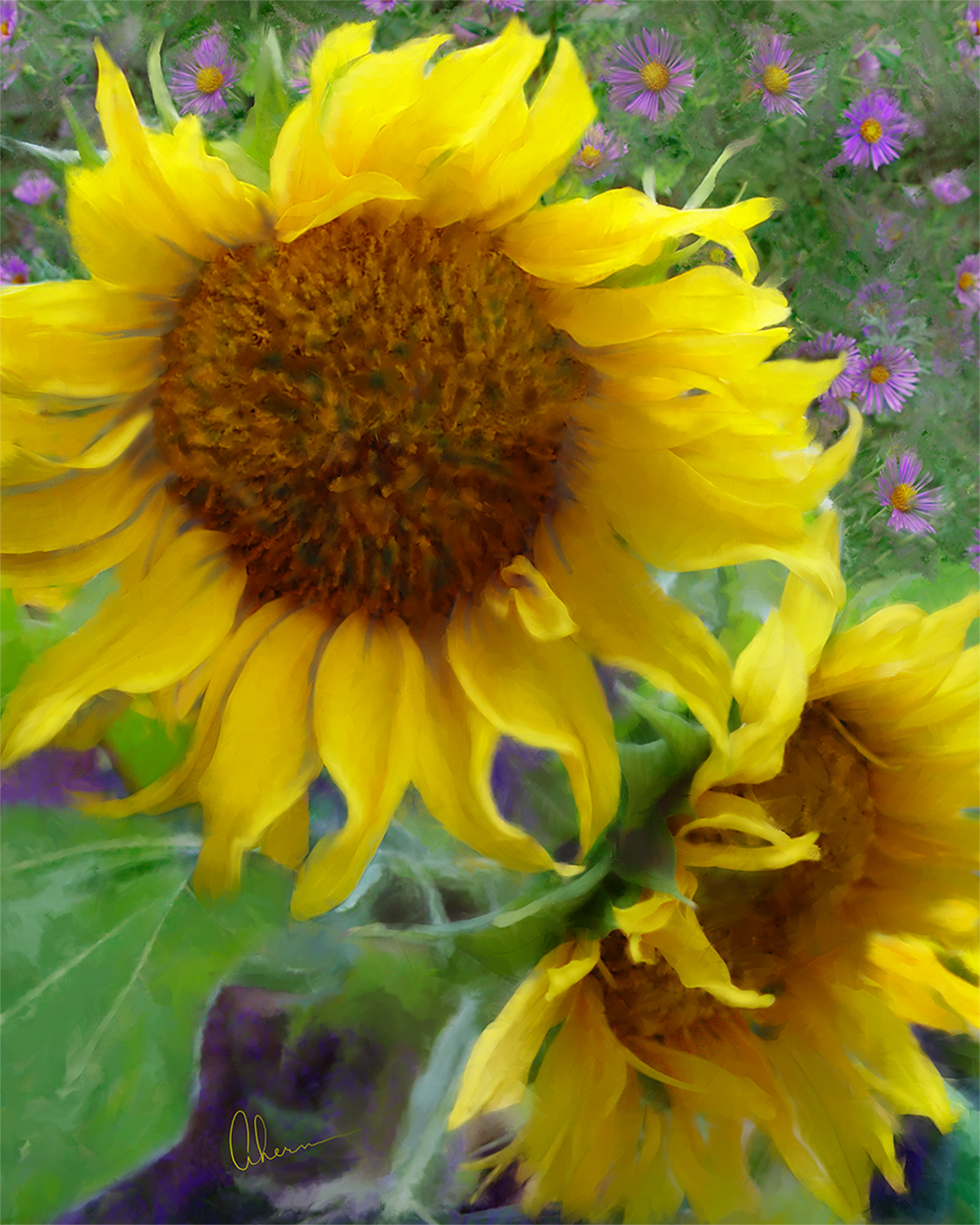 Sunflowers With Purple Asters-Artwork by the artist, Mary Ahern