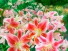 Mary\'s Dream Garden