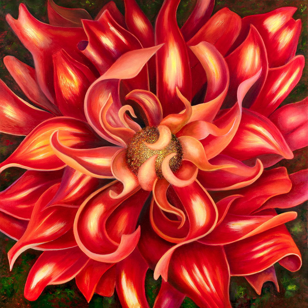 Passion - Red Dahlia