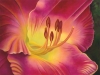 Petersen\'s Daylily