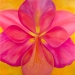 Original Fine Art and Prints