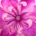 Original Fine Art and Prints