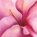 Mary Ahern-Original Fine Art and Prints