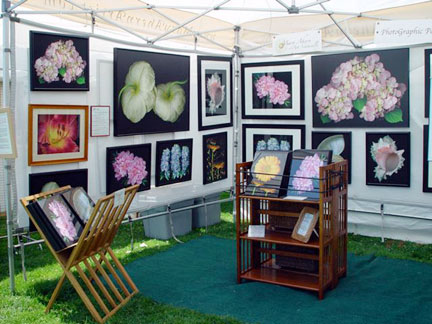 My Festival Show booth