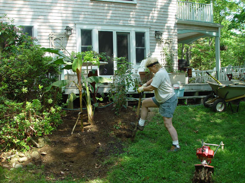 2002-05 Mary planting her tropical garden