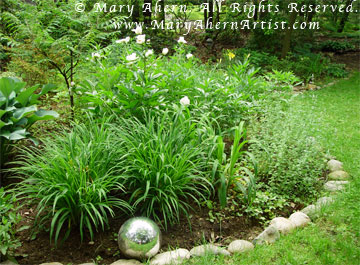 ahern-peony-garden The peonies bloom in June