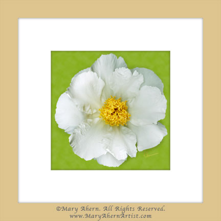 The finished mixed media painting is matted & finished in a 16x16" natural wood color frame.